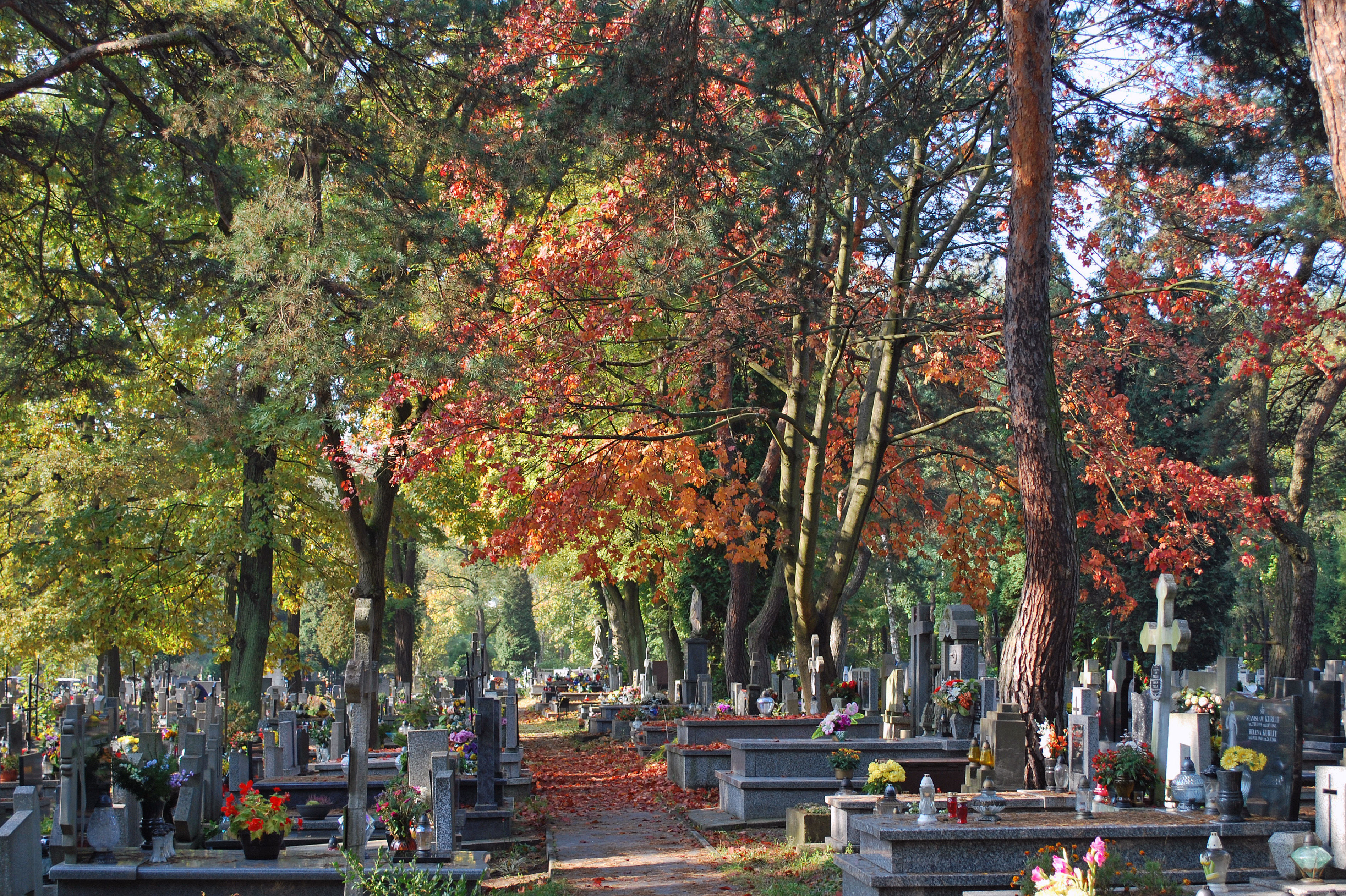 Cmentarz parafialny Borek Fałęcki